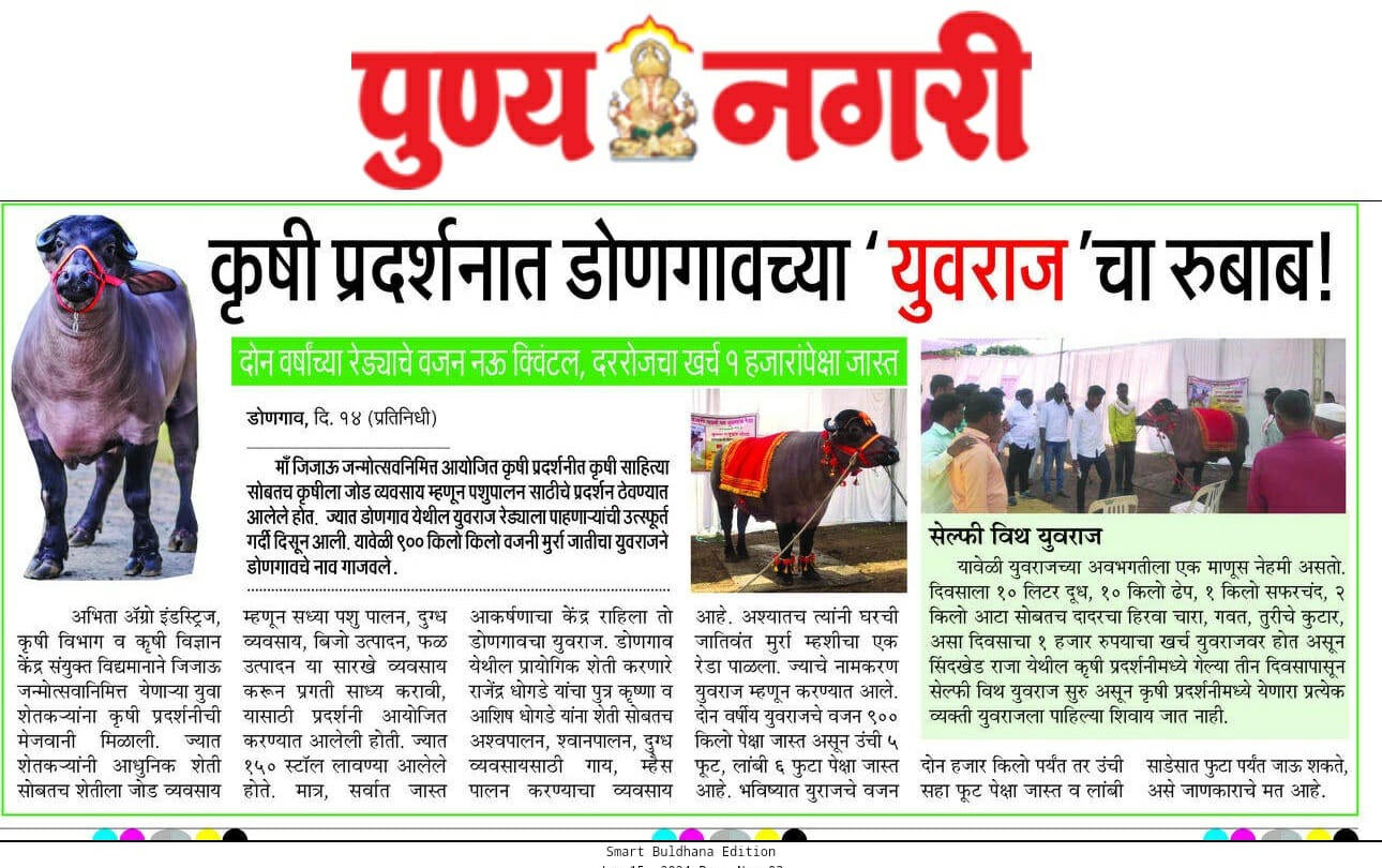 Leverage agile frameworks to provide